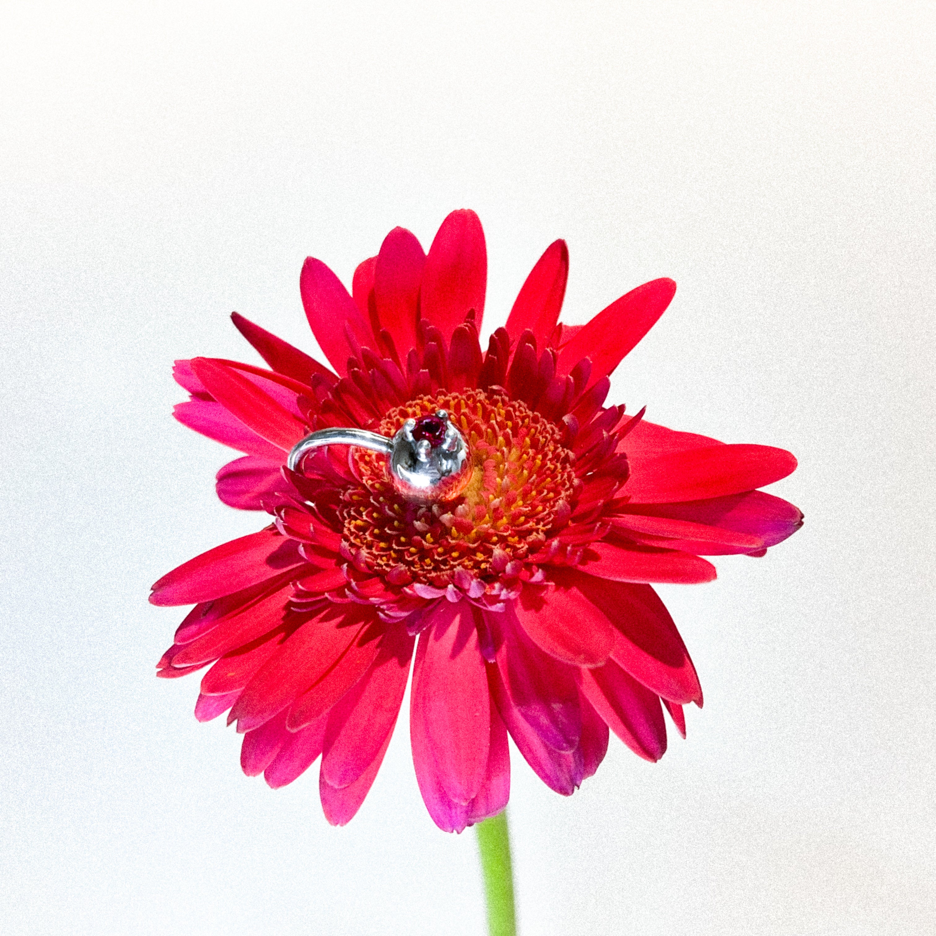 red flower with an ear cuff silver sphere and gemstone
