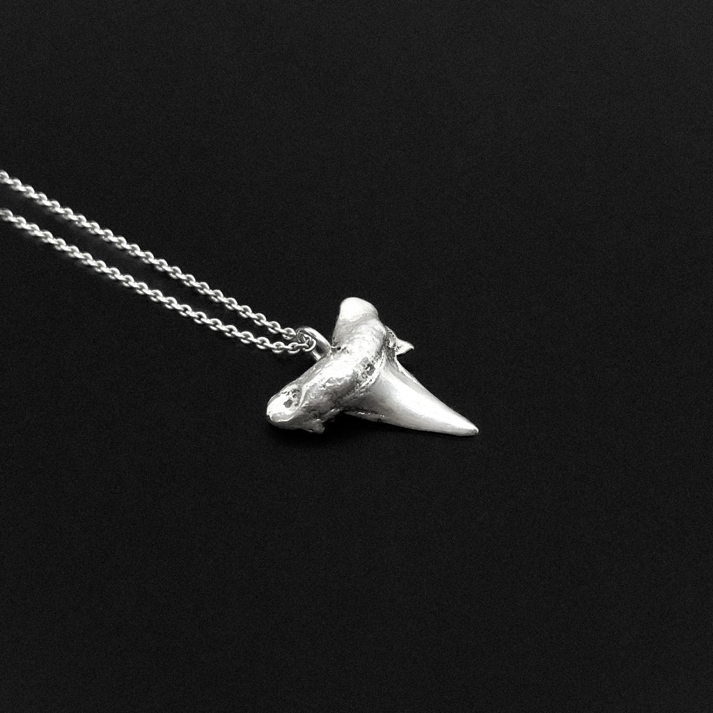 SHARK TOOTH SMALL