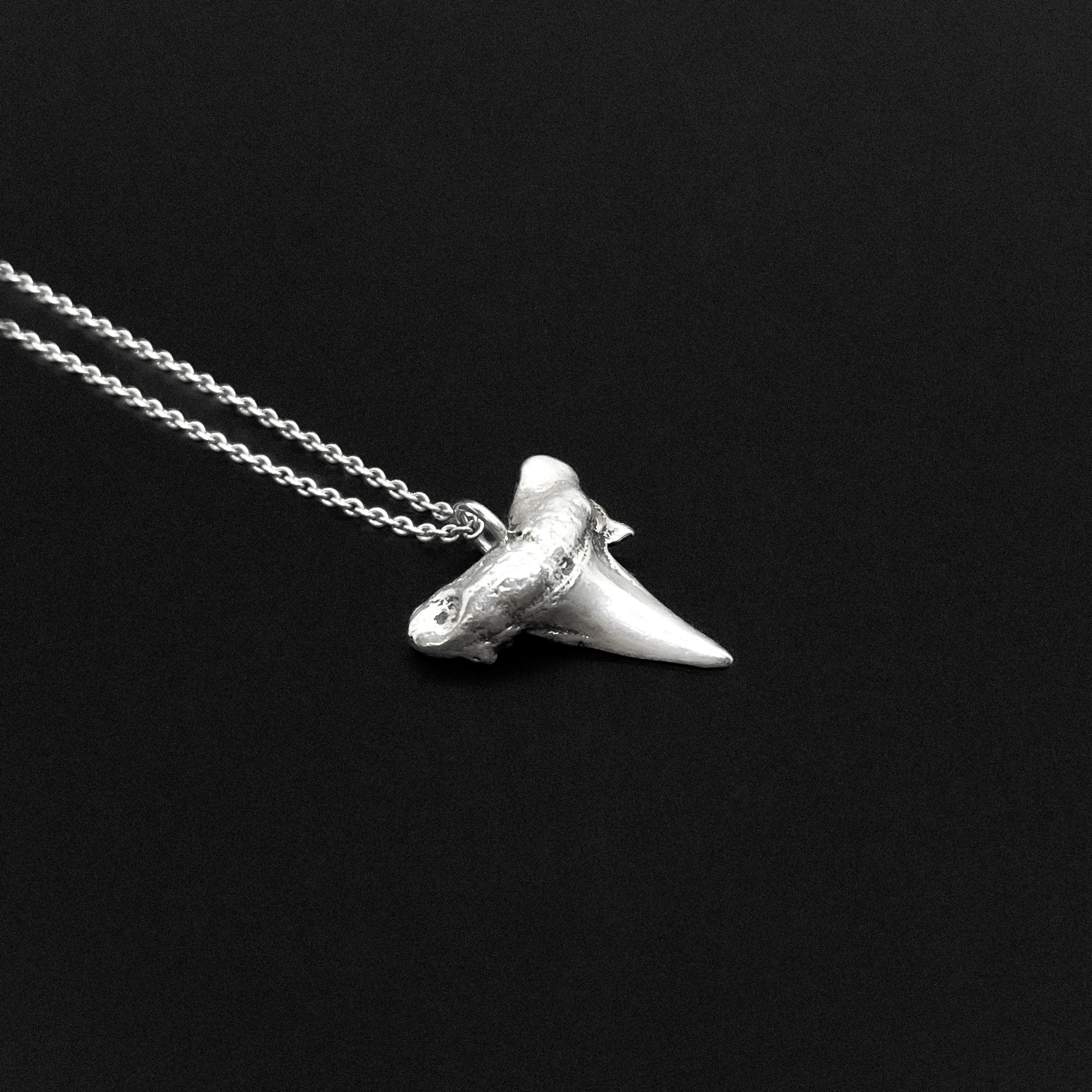 SHARK TOOTH SMALL