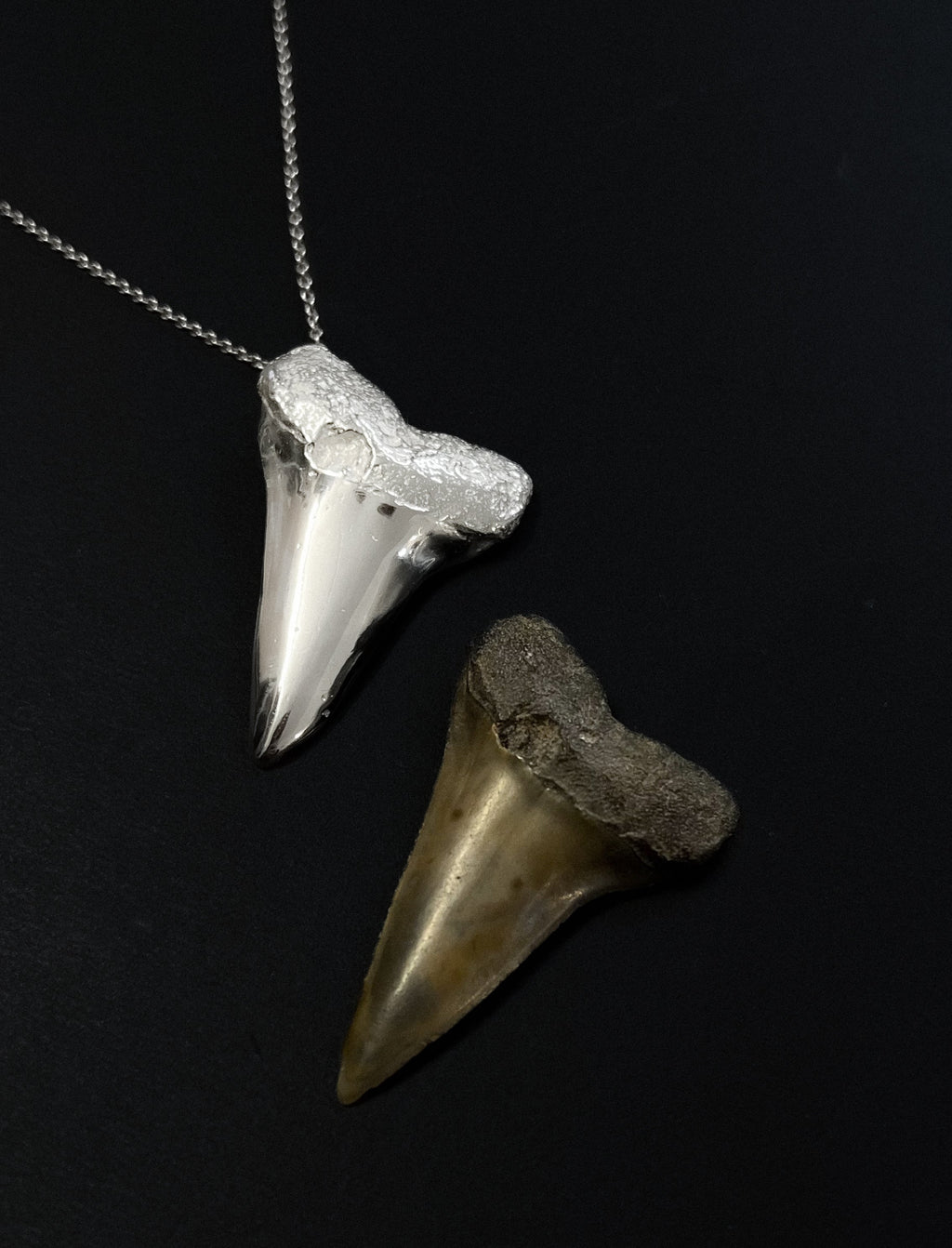 Two shark teeth pendants on a black background