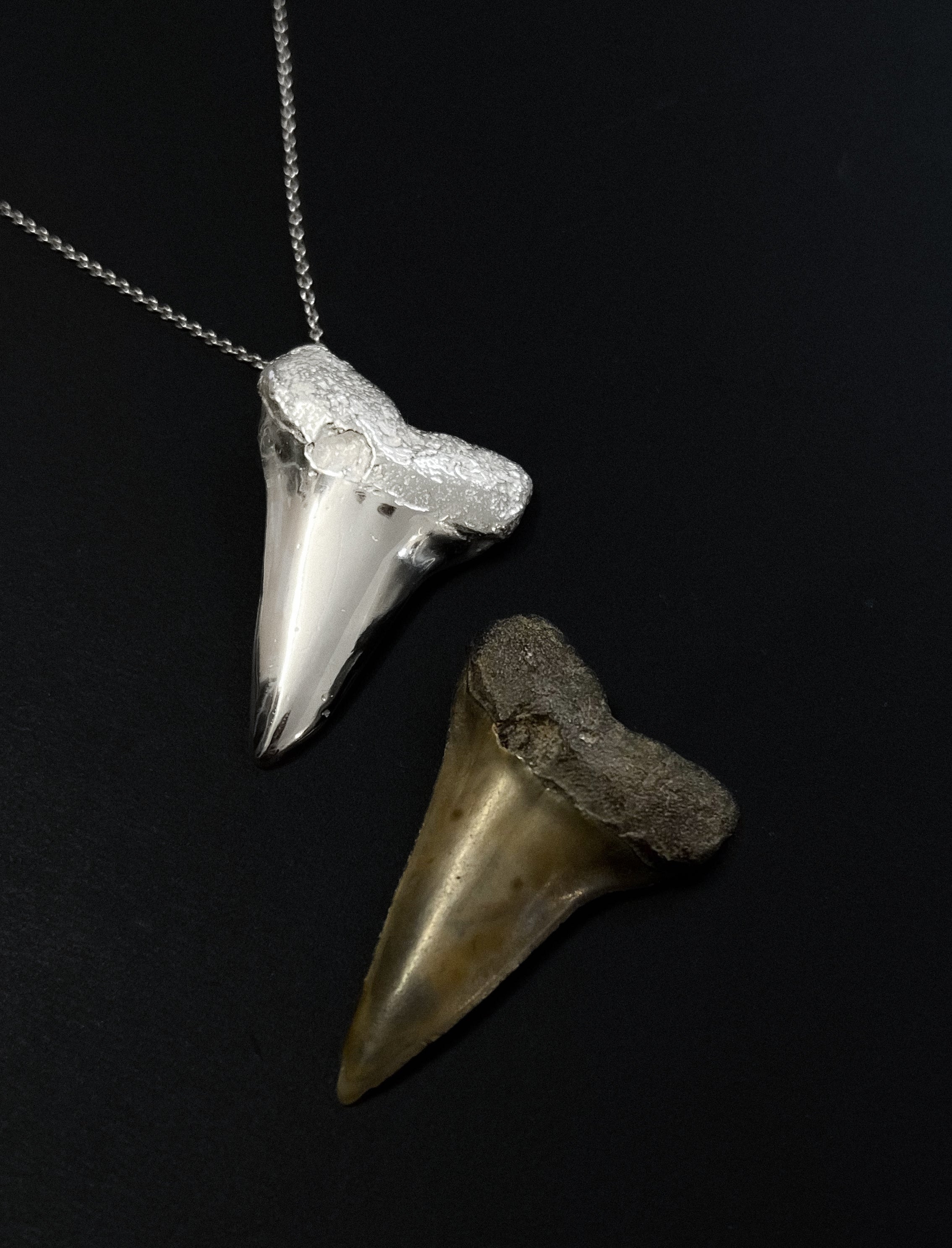 Two shark teeth pendants on a black background
