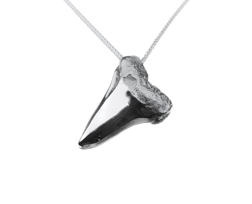 SHARK TOOTH XL