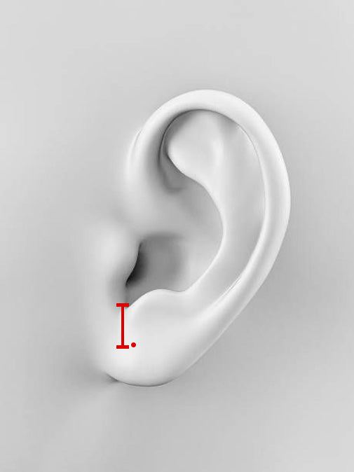 Realistic 3D model of a human ear on a gray background